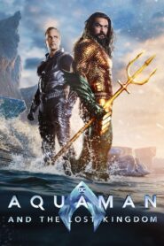 Aquaman and the Lost Kingdom Hindi Dubbed