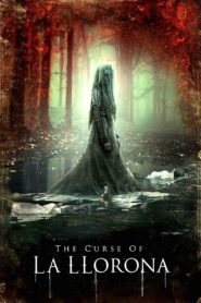 The Curse of La Llorona Hindi Dubbed