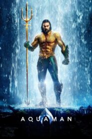 Aquaman Hindi Dubbed
